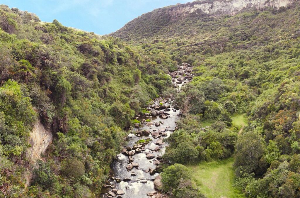 Cañón del Rio Blanco
