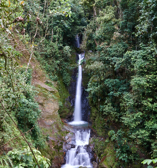 Cascadas el Chupal